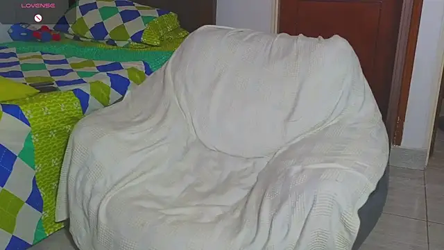 Regansmiths webcam