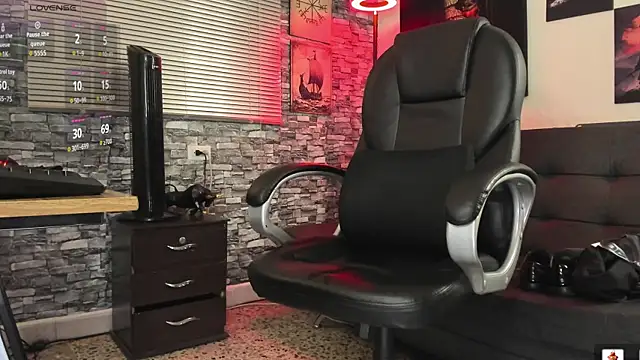 Nicolas_Fellener webcam