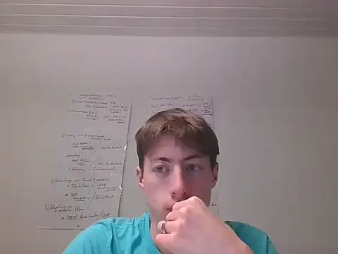 VelvetRagottiOG webcam