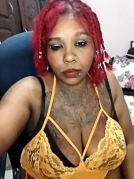 Javel123 webcam