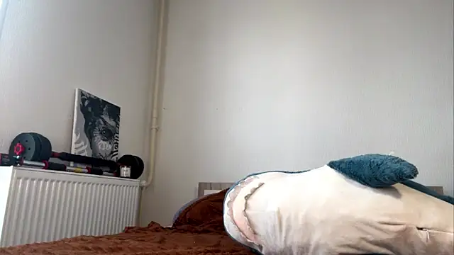 Li_Gong_ webcam