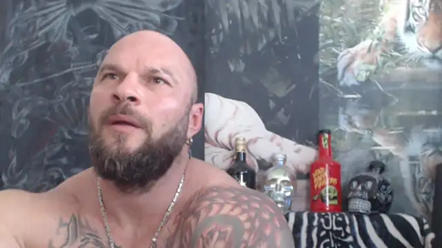 viking_30