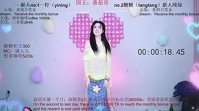 CCTW-100 webcam