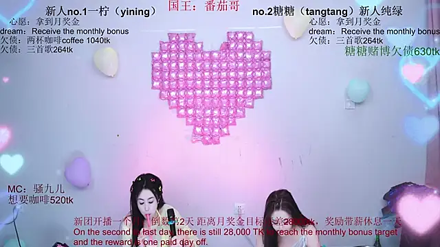 CCTW-100 webcam