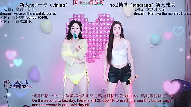 CCTW-100 webcam