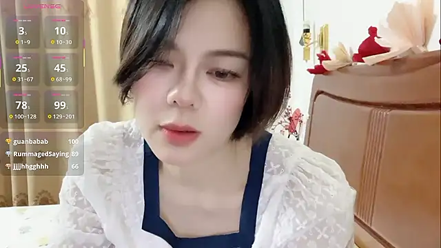 Linda-LL webcam