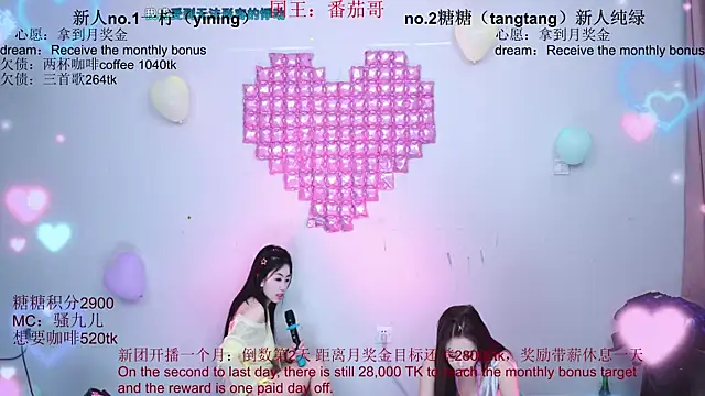 CCTW-100 webcam