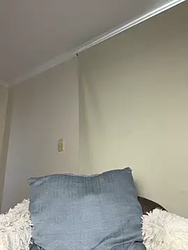 Samispank webcam