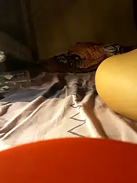 -Tara-a live cam
