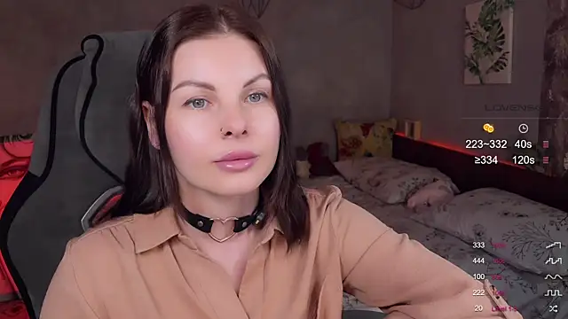 Alaska_ya webcam