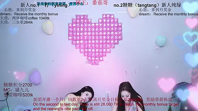 CCTW-100 webcam