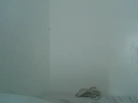 Tehiller webcam