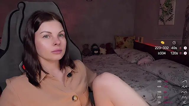 Alaska_ya webcam