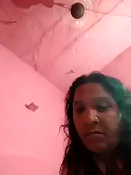 Loomaraj webcam