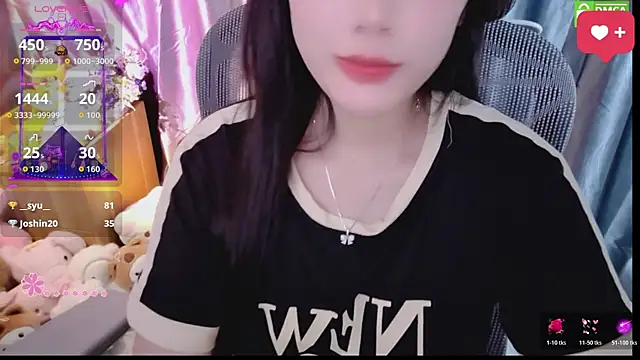 Dully_ana webcam