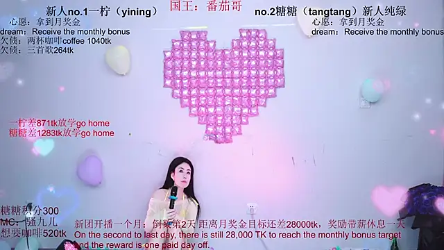 CCTW-100 webcam