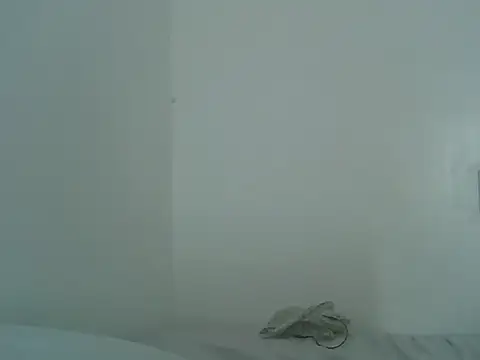 Tehiller webcam
