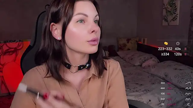 Alaska_ya webcam