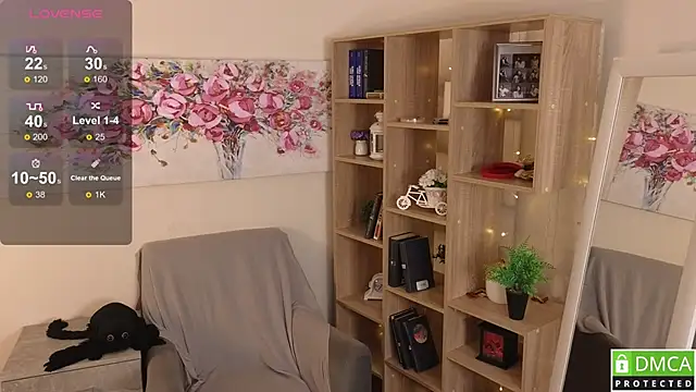 Sue_Sanders webcam
