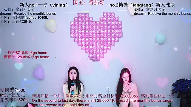 CCTW-100 webcam