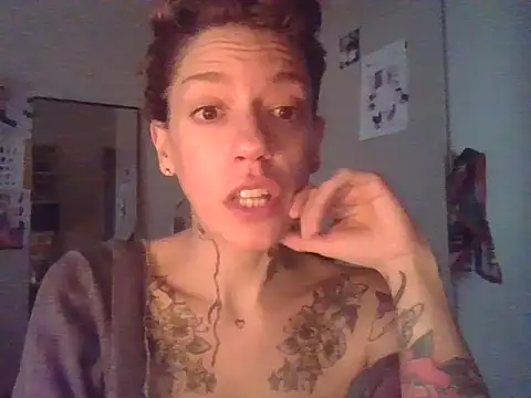 plsmecha webcam