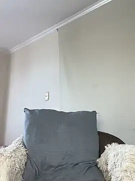 Samispank webcam