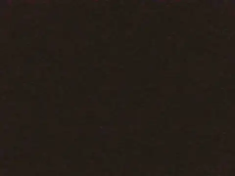 Siyabonga2026 webcam