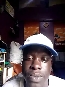 cheese254 webcam