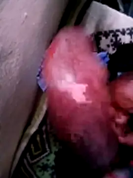 momokante webcam