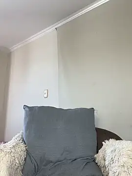 Samispank webcam