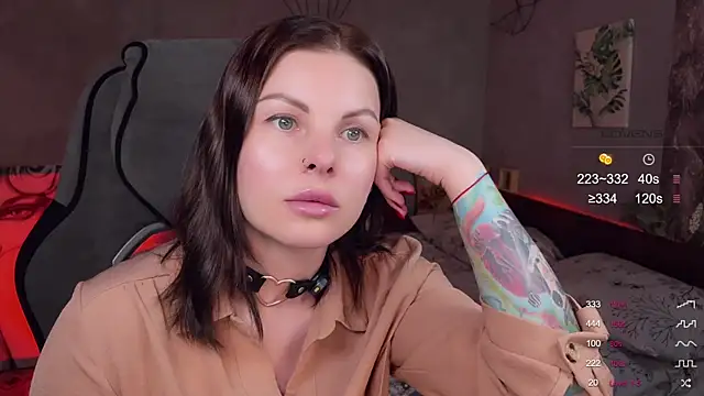 Alaska_ya webcam