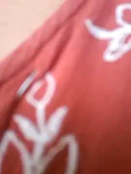 Ravina_patil1 webcam