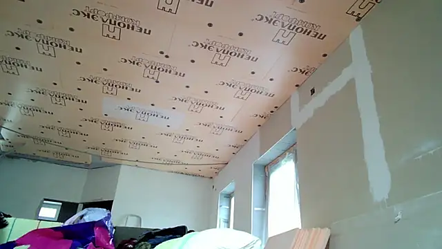 viamen webcam