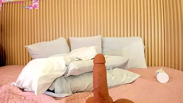 Liss-Reyes webcam