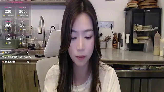 2026wq webcam