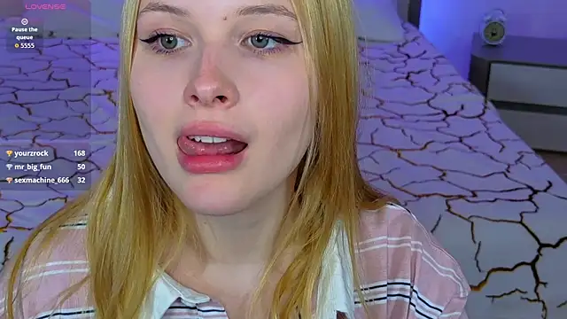 Brietdget webcam