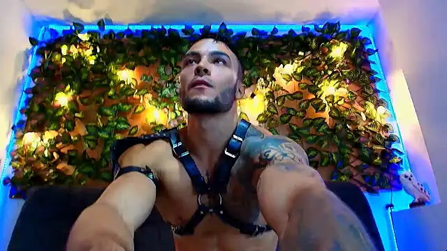 alexander_collin02 webcam