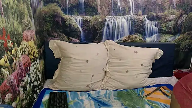 indianaqua webcam