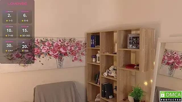Sue_Sanders webcam