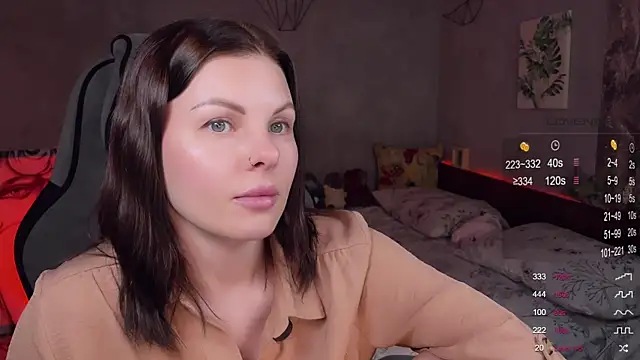 Alaska_ya webcam