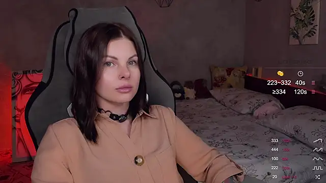 Alaska_ya webcam