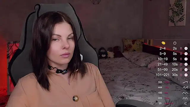 Alaska_ya webcam