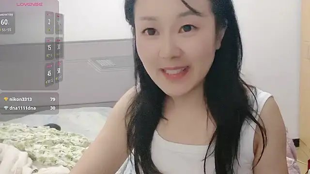 fanfan-FF webcam