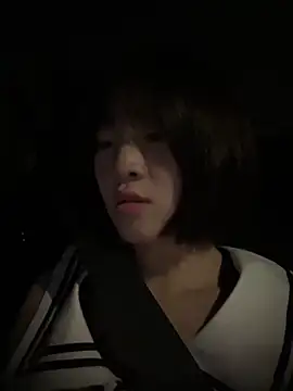 littleqiu webcam