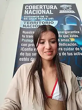 SALOME-28_ webcam