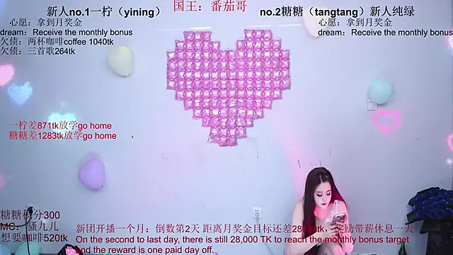 CCTW-100 webcam