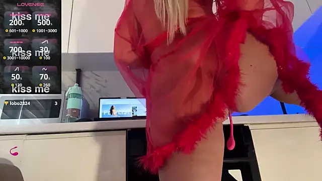 Marina- webcam