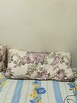 Alevsiz webcam