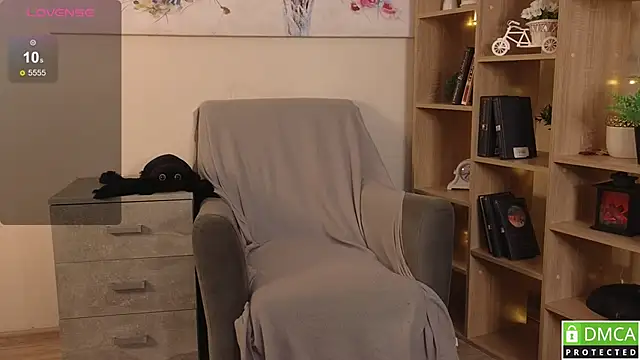 Sue_Sanders webcam