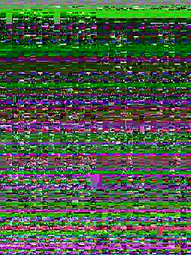 risu_00 webcam